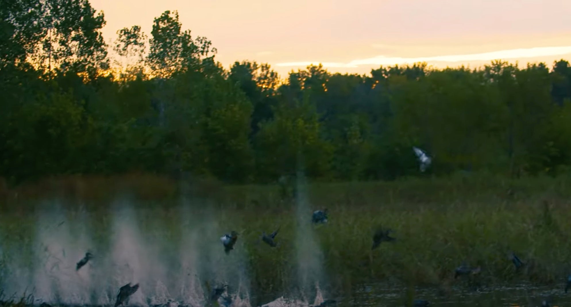 HIGDON OUTDOORS TV 903 " Quadrafecta" Higdon Outdoors