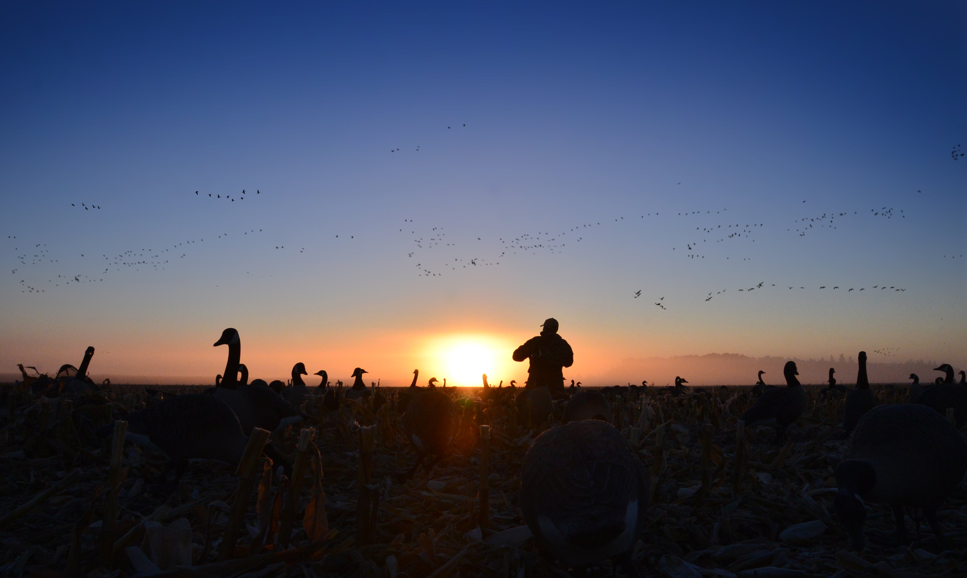 Closeouts Higdon Outdoors