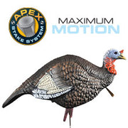 A realistic turkey decoy with detailed feathers and vibrant head colors stands on a stake. In the top left corner, a circular Apex Stake System logo is visible beside the words Maximum Motion.