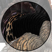 Close-up of a turkeys body highlighting its textured feathers in shades of brown, black, and tan, with intricate patterns visible inside a circular frame.