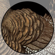 Close-up view of a textured surface with layered, brown, scale-like patterns, resembling the feathers or scales of a bird or reptile. The image is circular and set against a faded background of the same texture.