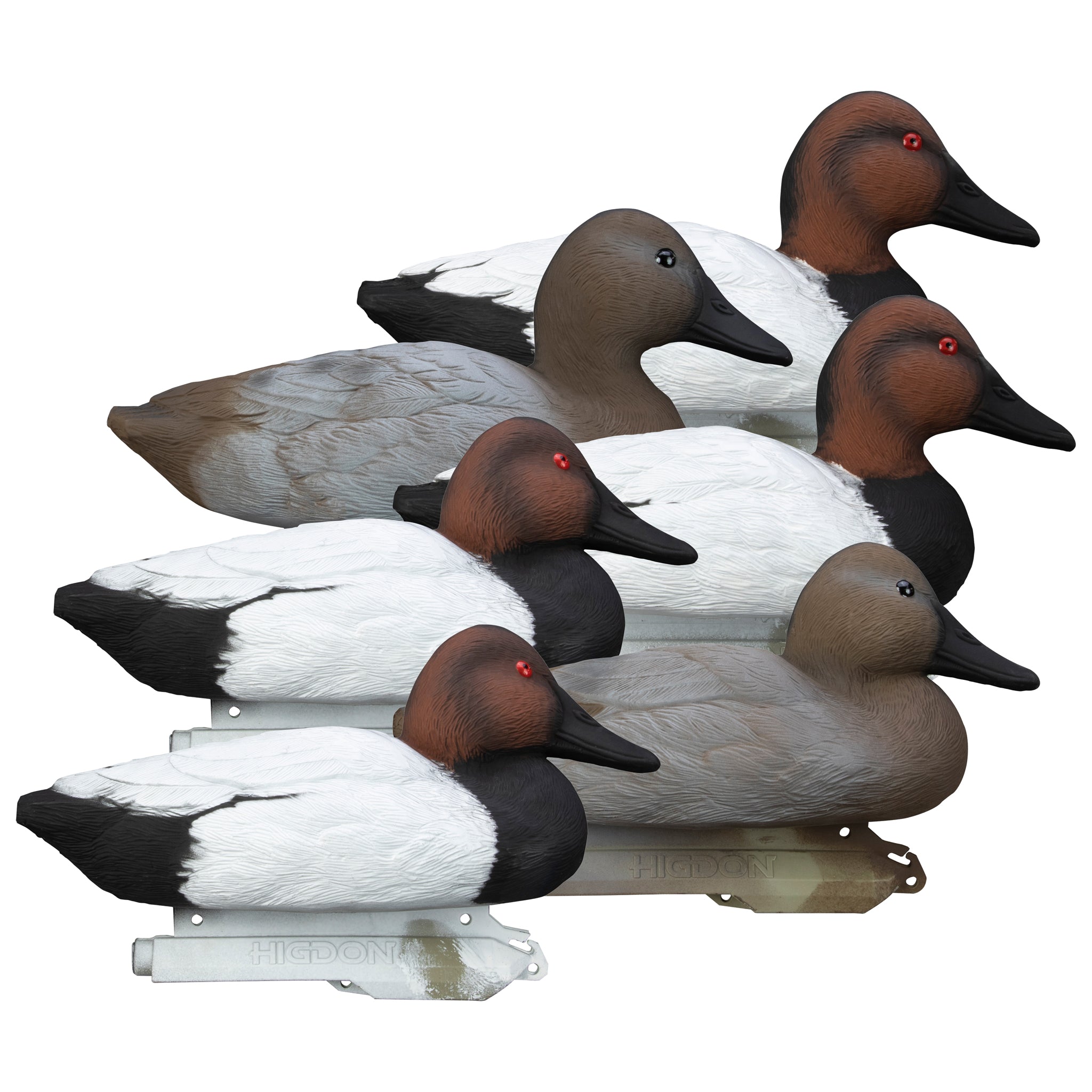Standard Canvasback Duck Decoy – Higdon Outdoors