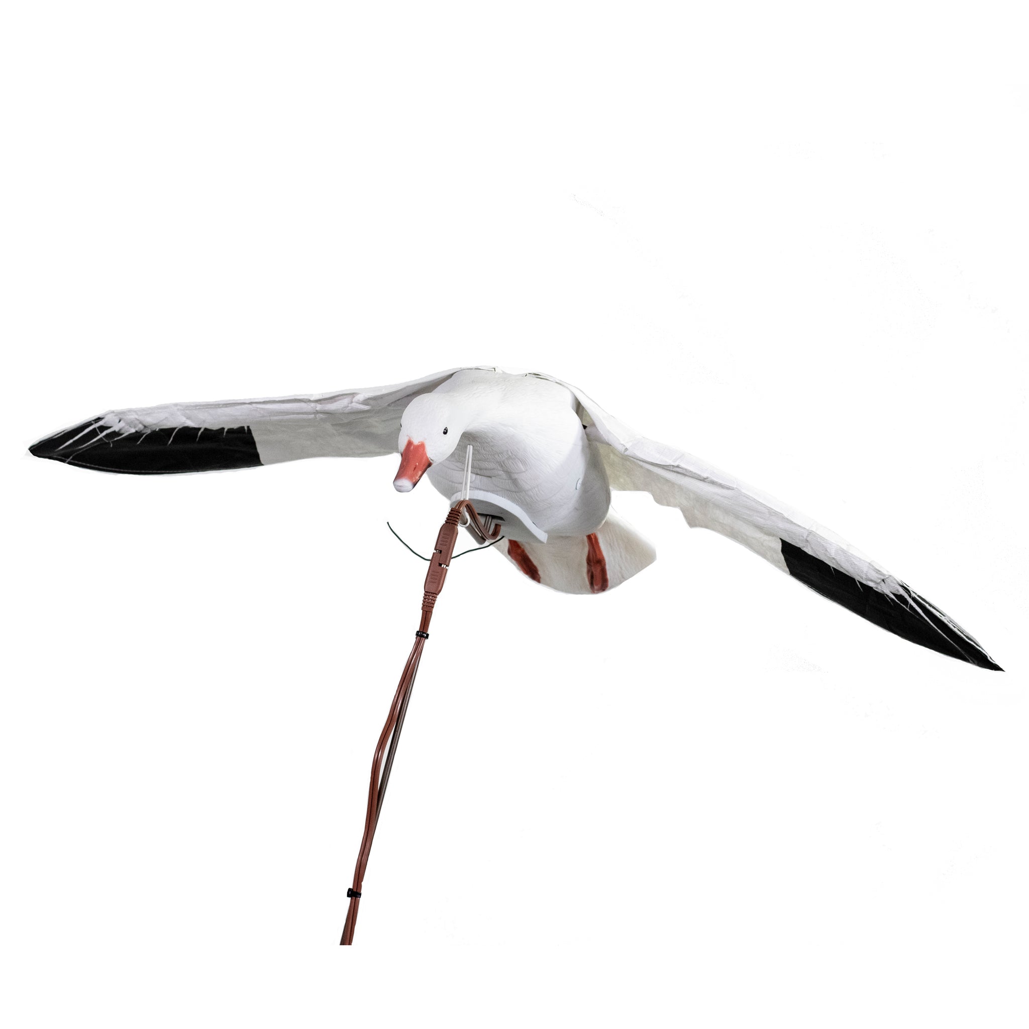 Clone Snow Goose – Higdon Outdoors