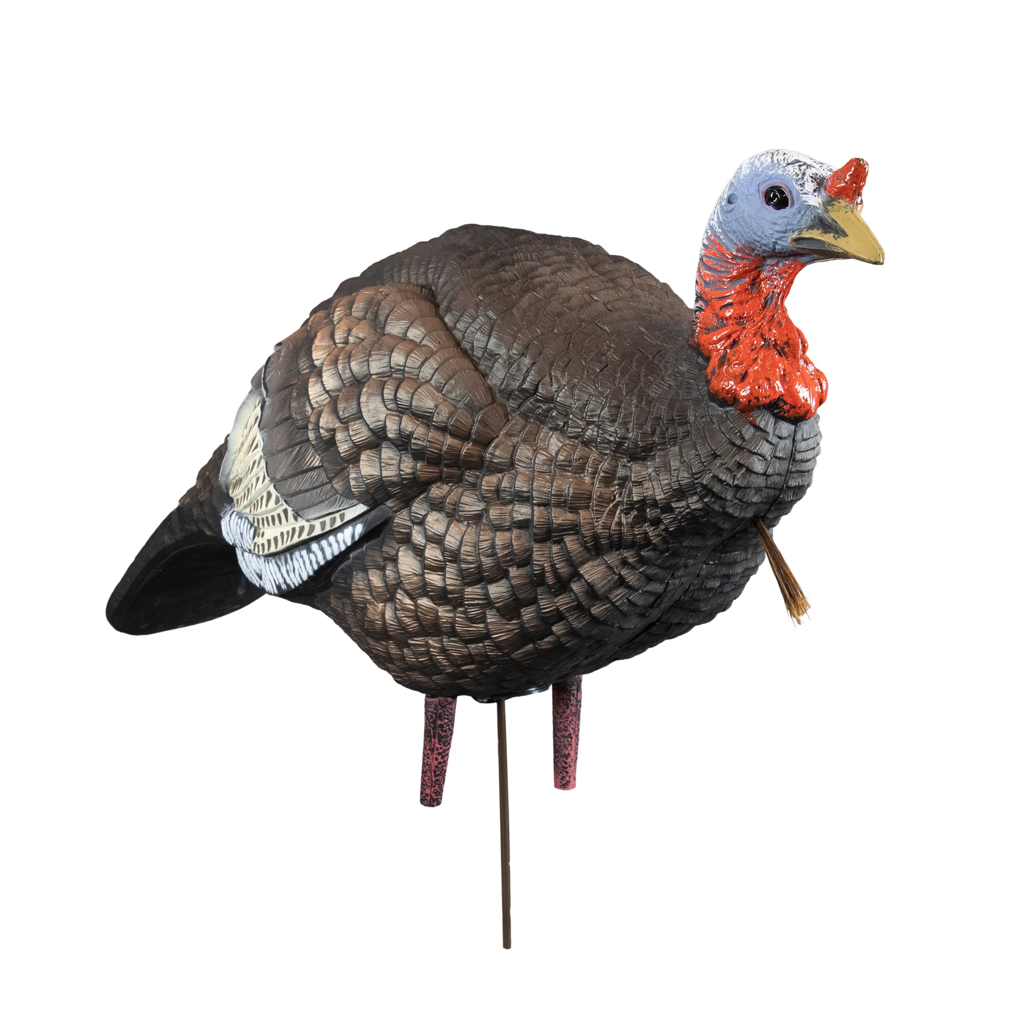 Higdon Hard Body 1/4 Strut Jake Turkey Decoy – Higdon Outdoors
