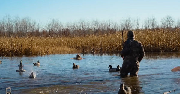 HIGDON OUTDOORS TV - 1102 - "Dog's First Hunt"