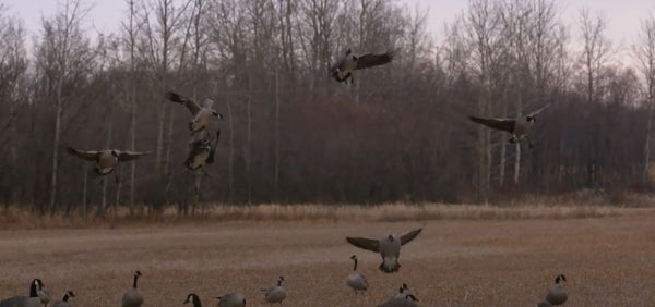 Higdon Outdoors TV - 407 "Bragging Rights Part 2"