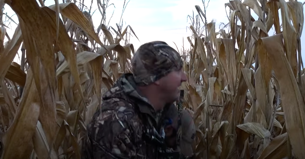 HIGDON OUTDOORS TV 204 "Standing Corn Falling Geese" Higdon Outdoors