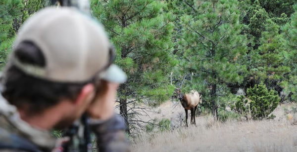 BEAU HUNTING - "Beau Brooks OTC Elk Hunt" - Episode 10