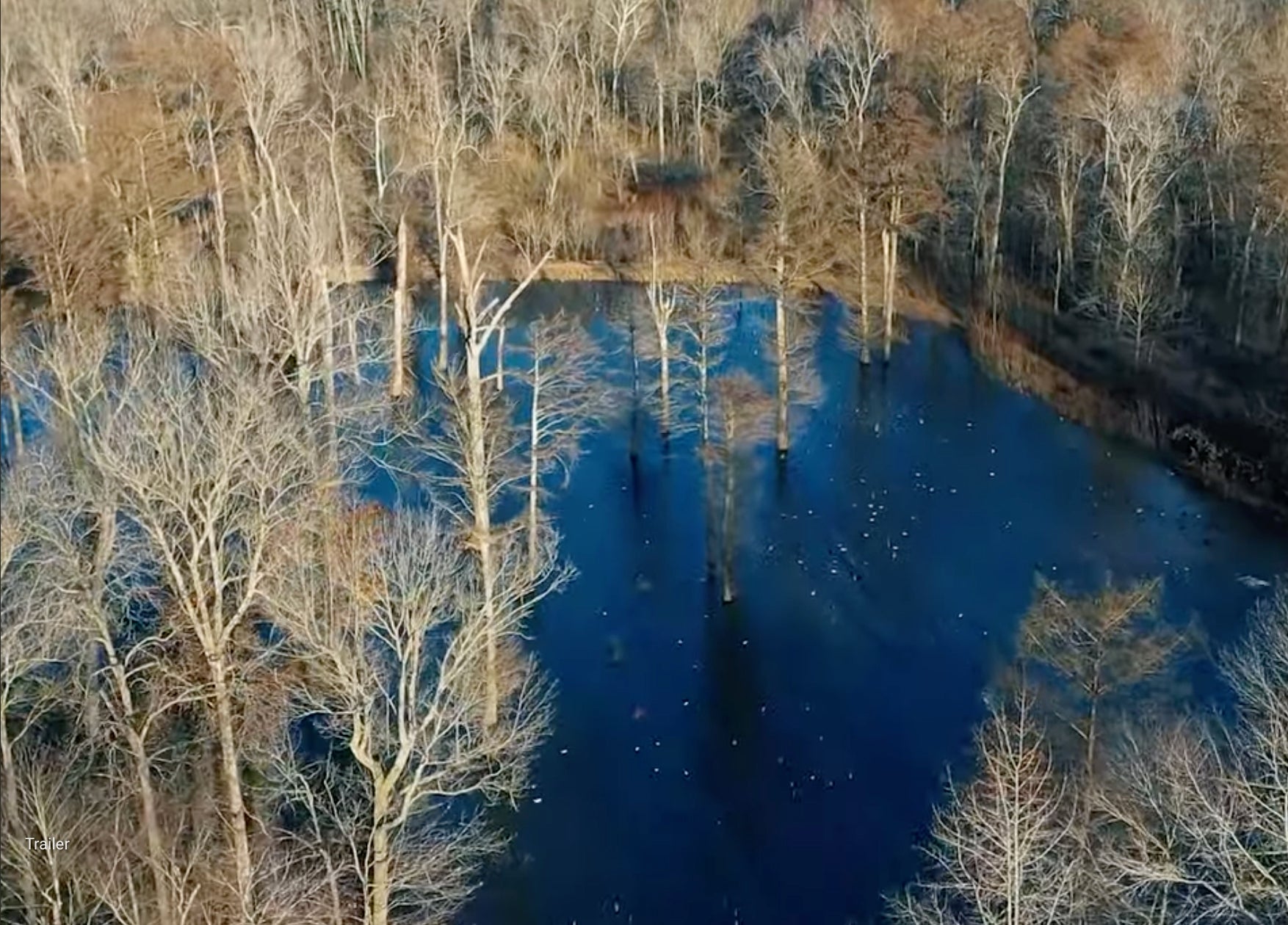 HIGDON OUTDOORS TV 811 "Timber, Snow, and Limits" Higdon Outdoors