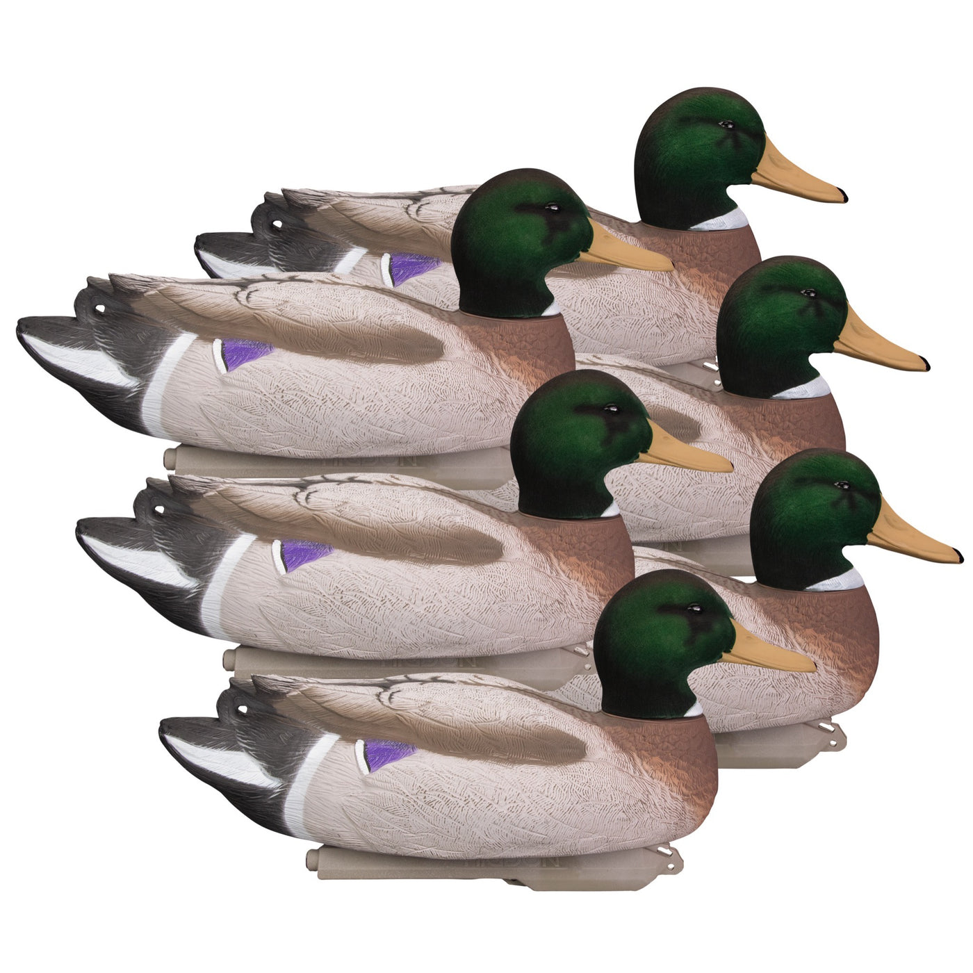 Battleship Mallard