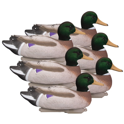 Battleship Mallard