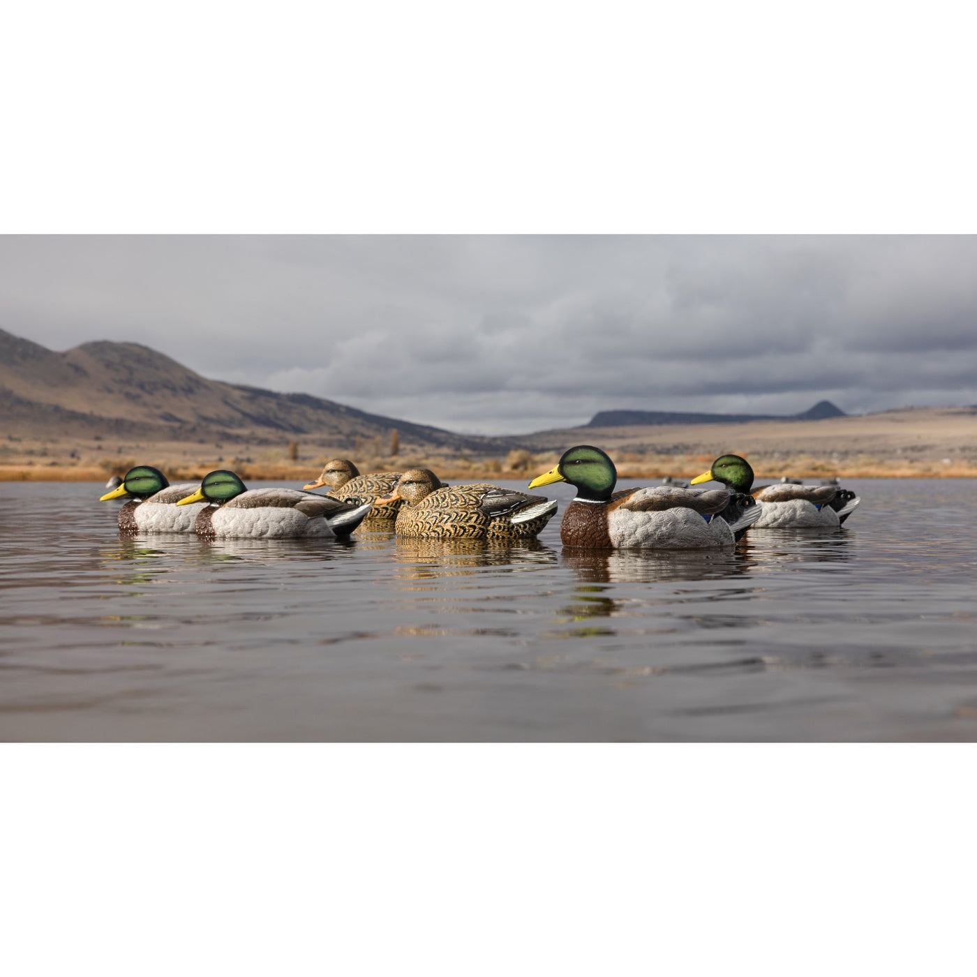 Legacy Mag Mallard