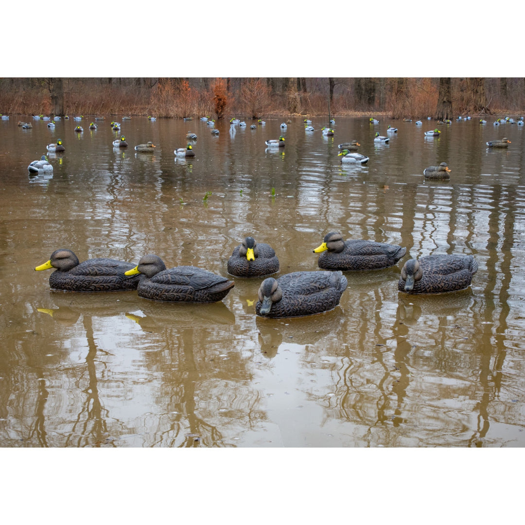 Higdon Legacy Mag Black Duck Decoy – Higdon Outdoors