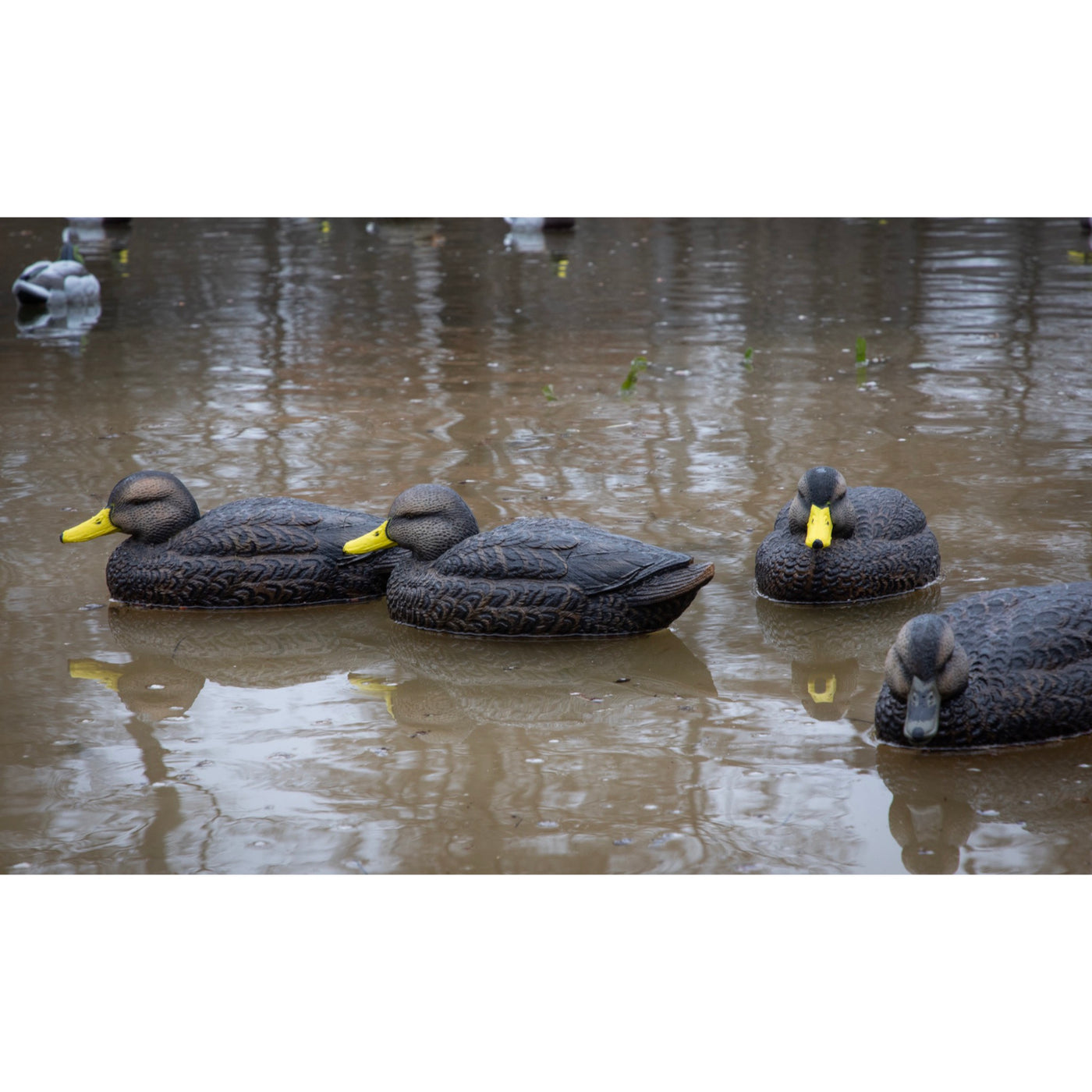 DARK DUCKS ALL COLLECTION ダークダックス Higdon Legacy Mag Black Duck Decoy – Higdon Outdoors