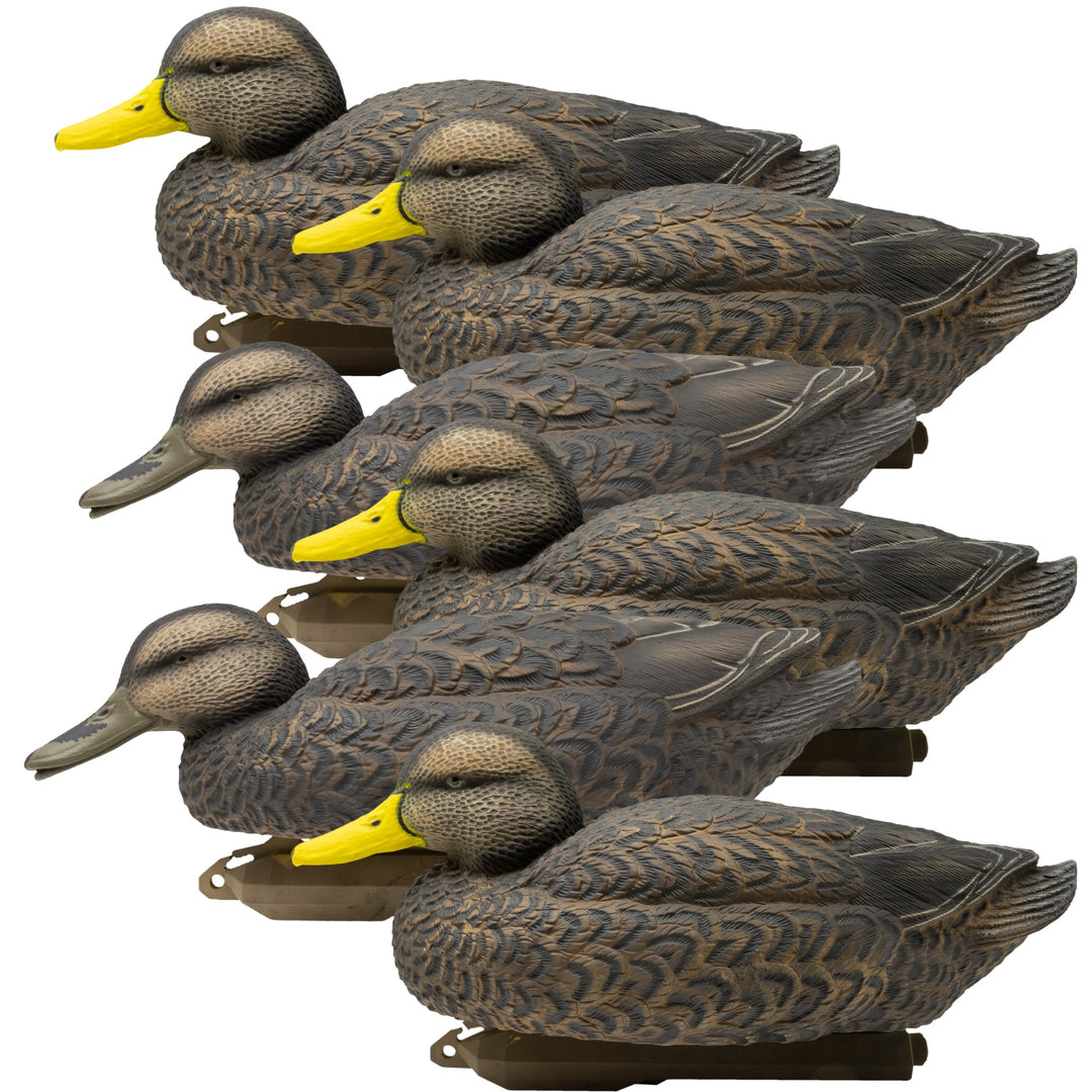 DARK DUCKS ALL COLLECTION ダークダックス Higdon Legacy Mag Black Duck Decoy – Higdon Outdoors