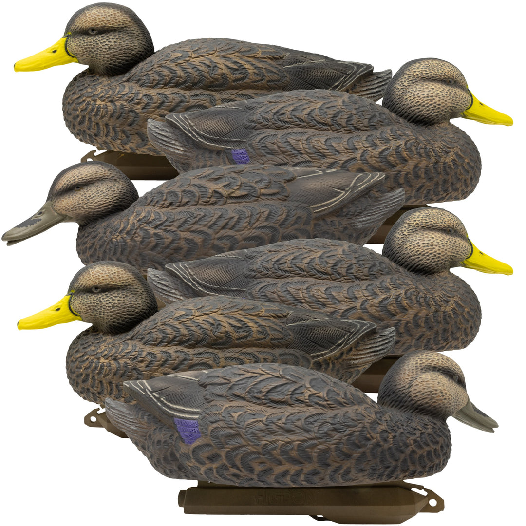 DARK DUCKS ALL COLLECTION ダークダックス Higdon Legacy Mag Black Duck Decoy – Higdon Outdoors