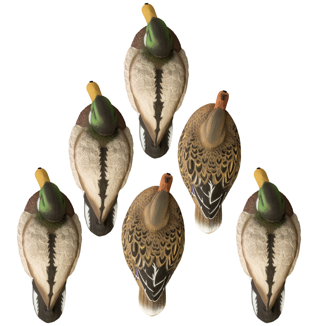 希少Hrrop Gose Biot.Mallard Frank 他大量セット 19022_19024_TOP_CLUSTER_1080x.