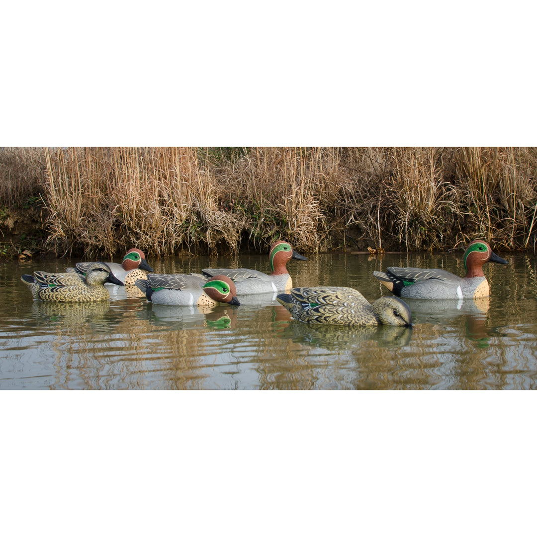 Higdon Standard Green Wing Teal Duck Decoy – Higdon Outdoors