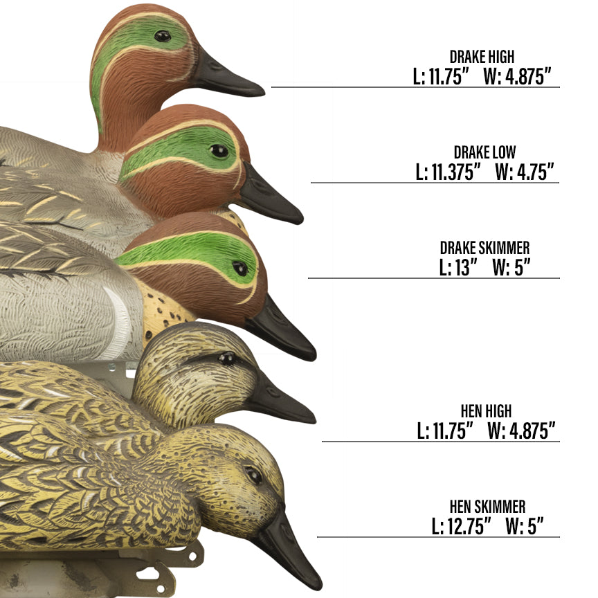 Higdon Standard Green Wing Teal Duck Decoy – Higdon Outdoors