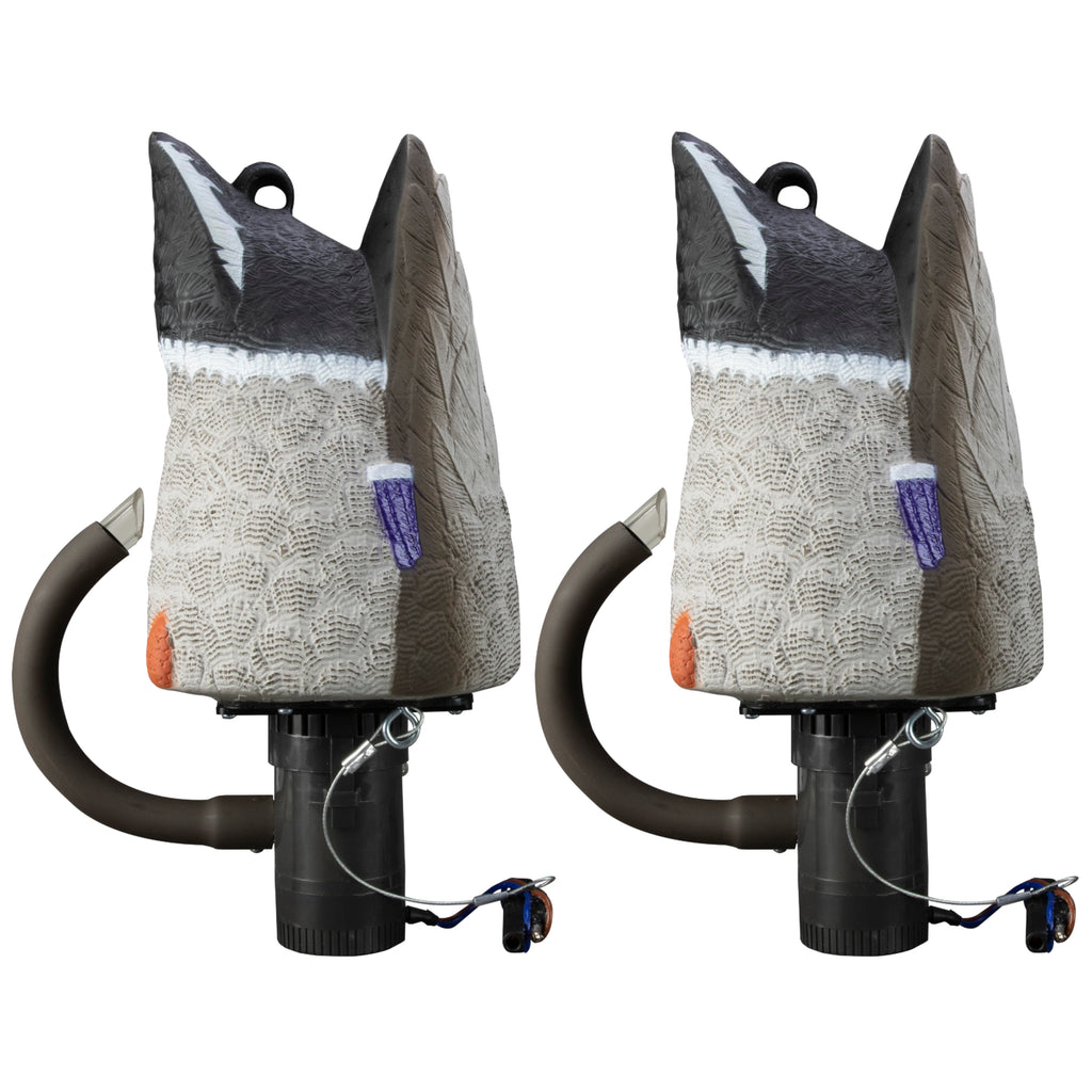 アリイ ホットロッドマシン ブルーバード 1/20 アリイ ホットロッド