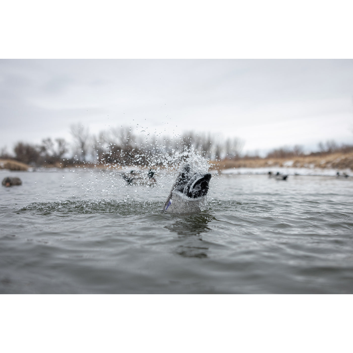 Pulsator PRO Mallard Drake – Higdon Outdoors