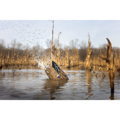 Pulsator PRO Mallard Hen