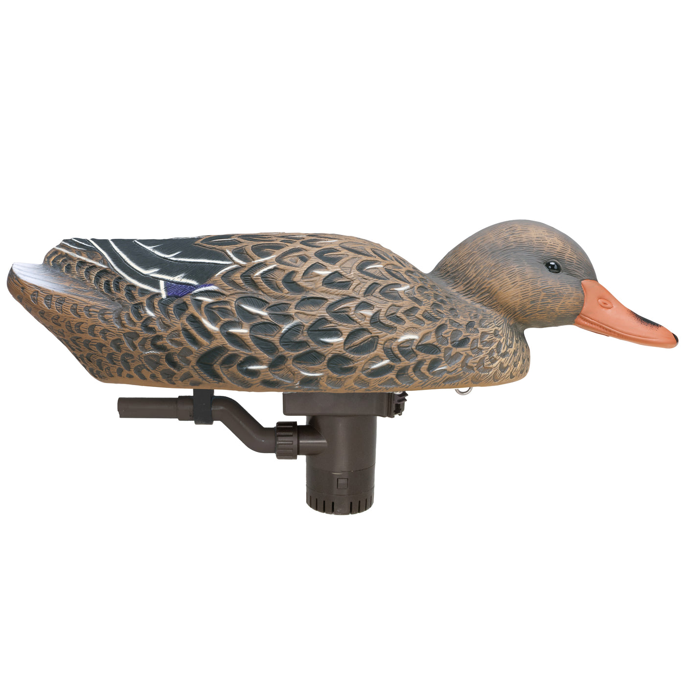 Battleship Swimmer PRO, Mallard Hen