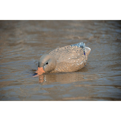 Battleship Swimmer PRO, Mallard Hen