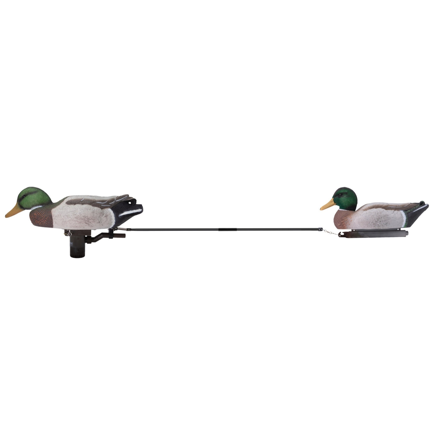 Battleship Swimmer PRO, Guide Pack, Mallard Drake