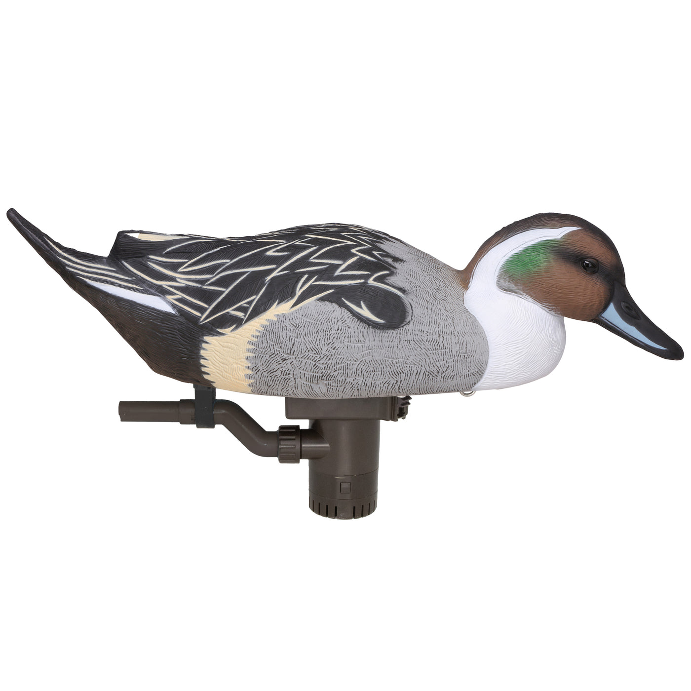 Battleship Swimmer PRO, Pintail