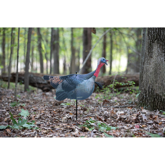 63025_field_4_R_540x.jpg?v=