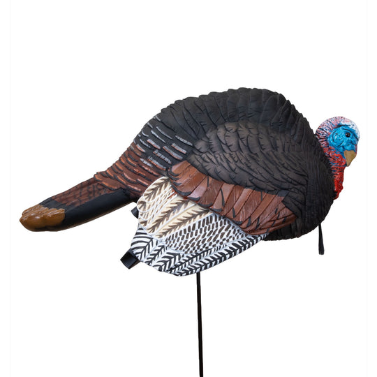 Hard Body Breeding Jake Turkey – Higdon Outdoors