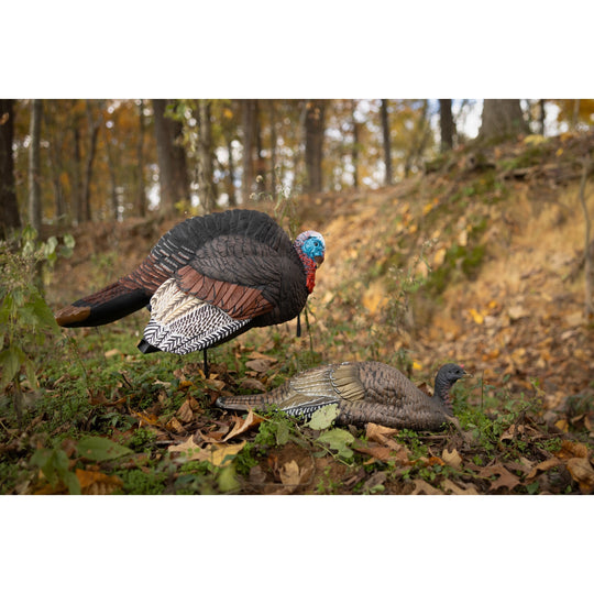 63185_Breeding_Jake_Jill_Field