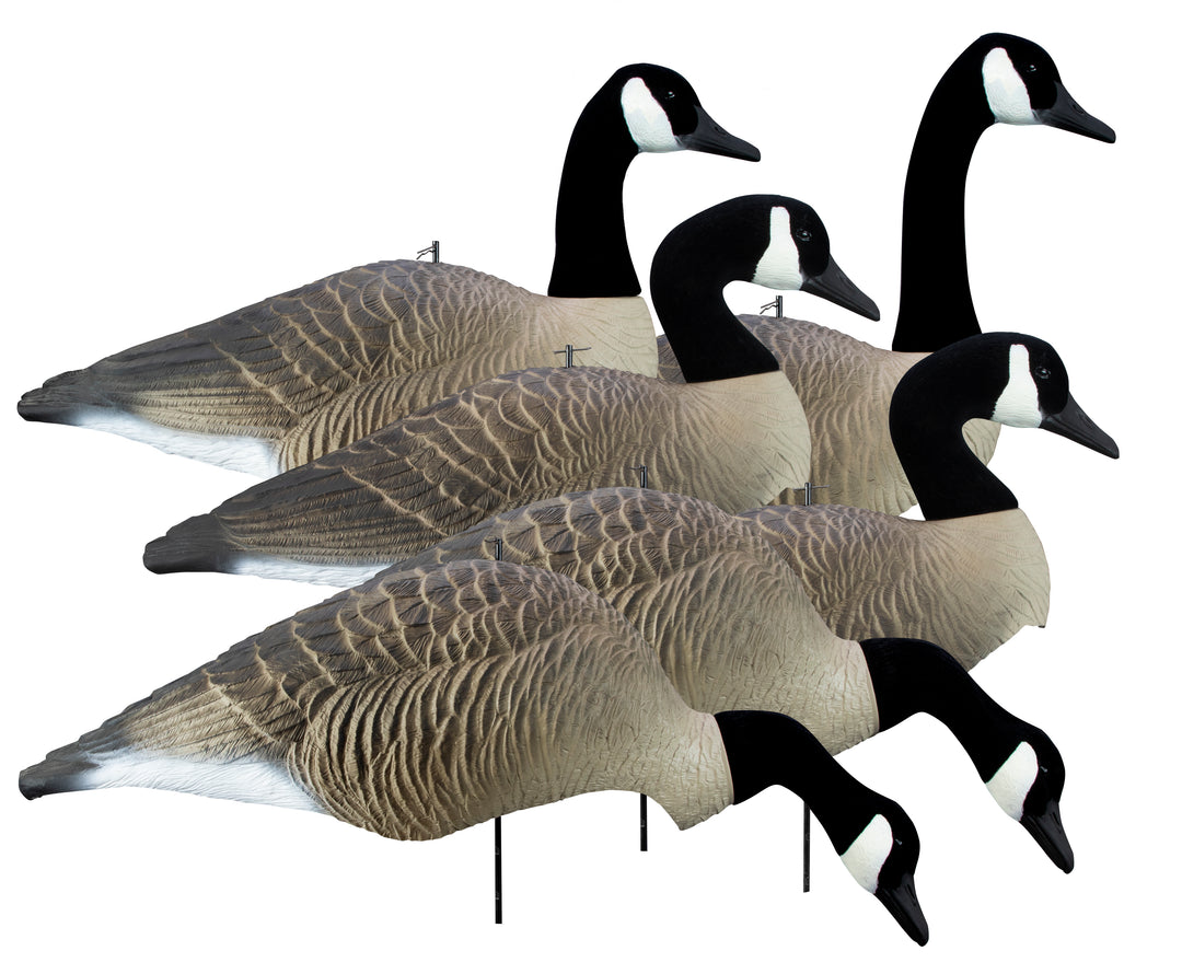 Alpha Wobbler Magnum Canada Full-Form Shell – Higdon Outdoors