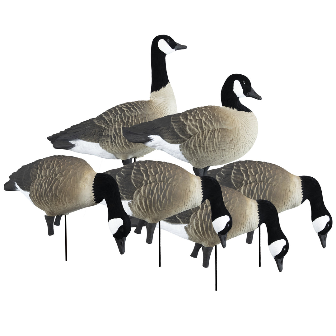 Decoy♡様 Higdon APEX Full-Size Full-Body Decoy-Canada – Higdon Outdoors
