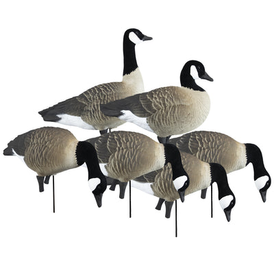 APEX Full-Size Full-Body-Canada
