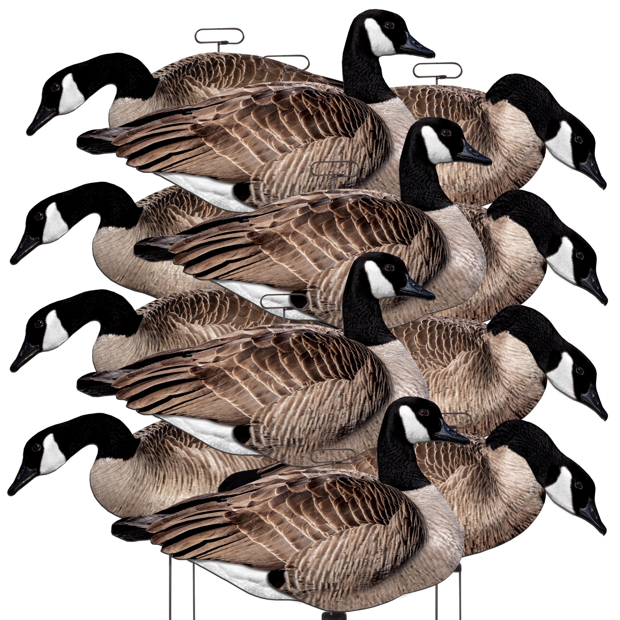 FLATS Canada Goose Motion Silhouette – Higdon Outdoors