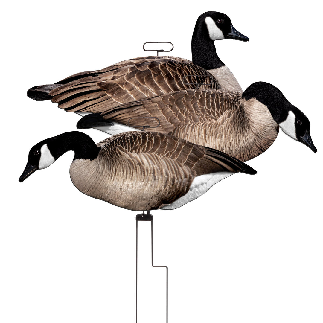 FLATS Canada Goose Motion Combo Pack – Higdon Outdoors