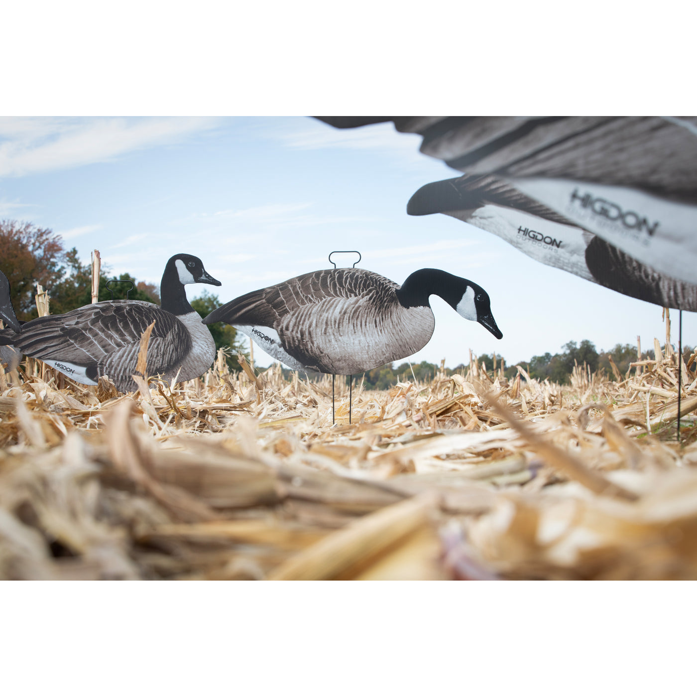 FLATS Canada Goose Standard Silhouette