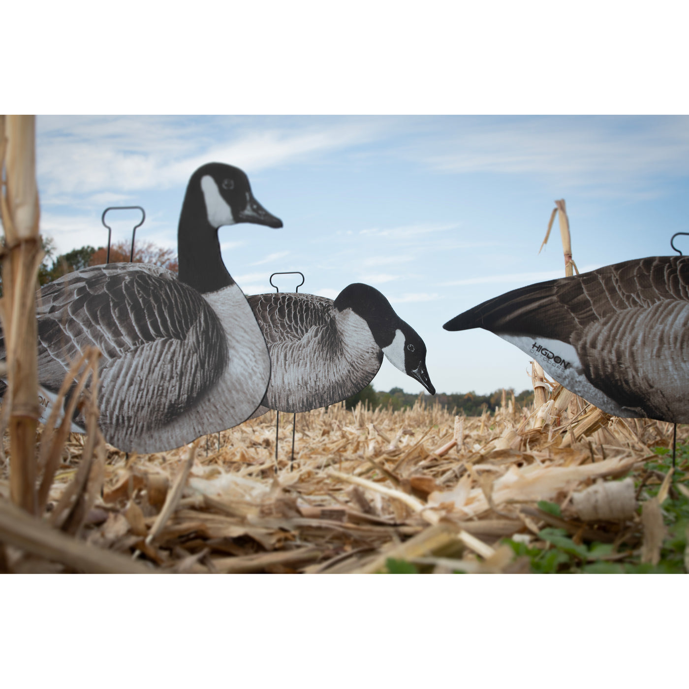 Higdon FLATS Magnum Specklebelly Goose Motion Silhouette Decoys - 12 Pack