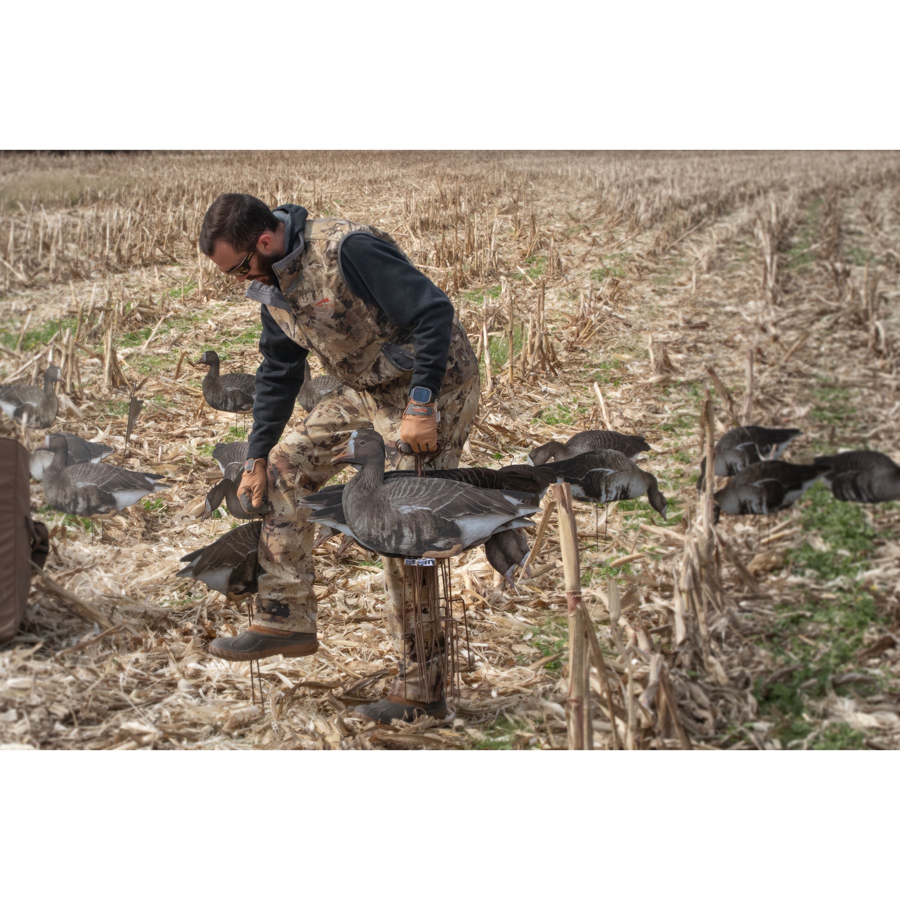 Higdon FLATS Specklebelly Goose Motion Silhouette Decoys 12 Pack – Fort  Thompson