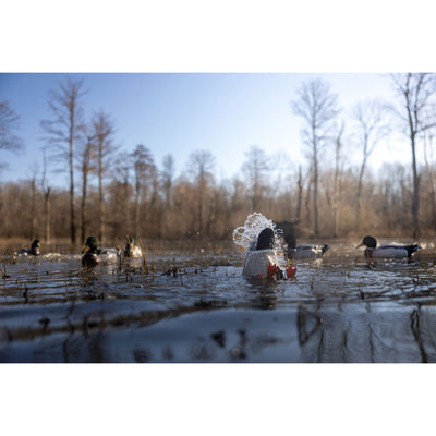 A duck with a lacy white bonnet and vibrant red Higdon Outdoors PRO Series Feet floats on shallow water among other ducks, with bare trees and a clear sky in the background.