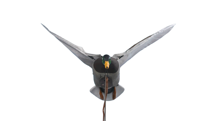 Clone Mallard Drake – Higdon Outdoors