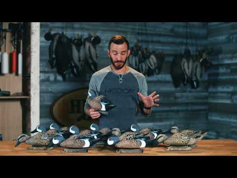 Standard Blue Wing Teal 12pk