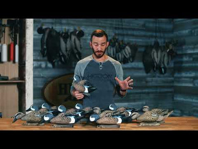 Standard Blue Wing Teal 12pk