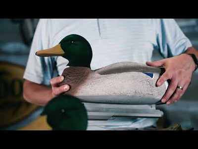 Battleship Mallard