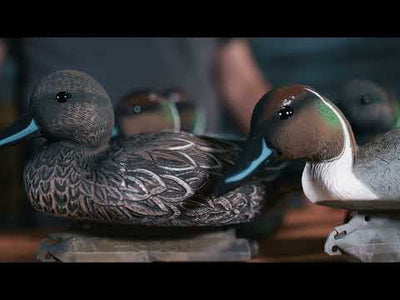 Standard Pintail 6pk