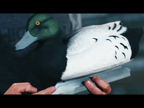 Battleship Bluebill
