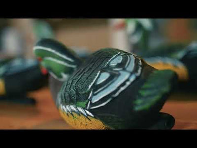 Standard Wood Duck
