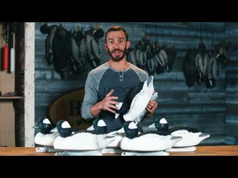 Battleship Bufflehead